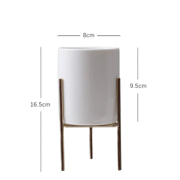 modern ceramic succulent pot