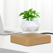 Indoor Desk Plant Decoration