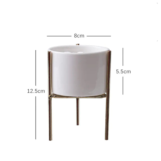 modern ceramic succulent pot