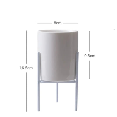 modern ceramic succulent pot