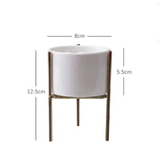 modern ceramic succulent pot