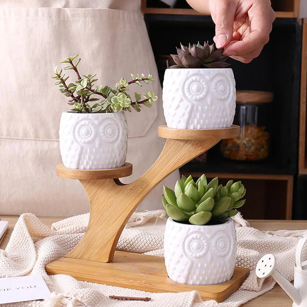 Modern succulent pot set