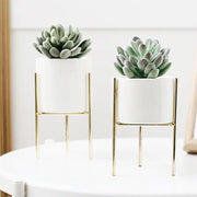 modern ceramic succulent pot