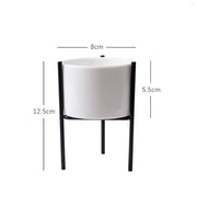 modern ceramic succulent pot