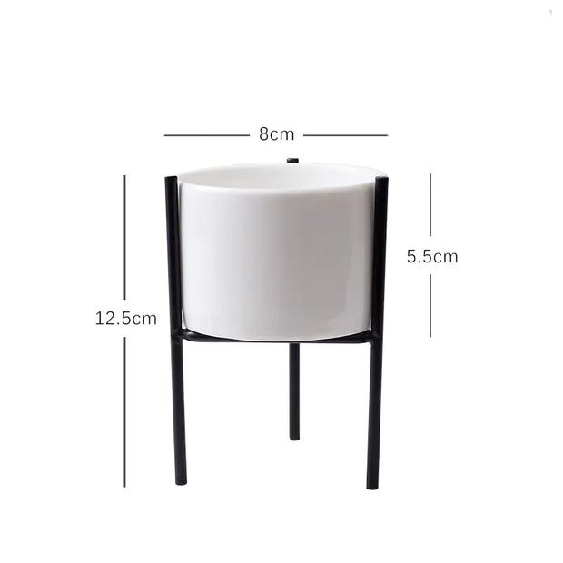 modern ceramic succulent pot